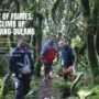 The City of Fairies: A Cold Climb Up Mt. Dulang-Dulang (D2) D2 HEADER SLIDER