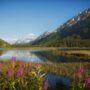 Hiking and camping in summer Alaska alaska-397747_1280