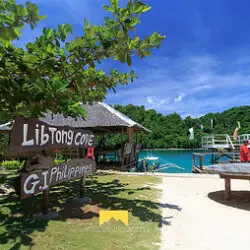 libtong